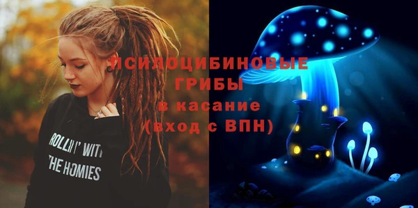 шишки Карталы