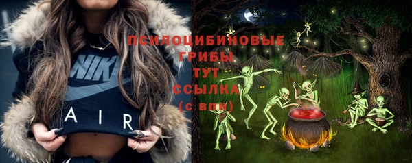 MDMA Premium VHQ Карпинск