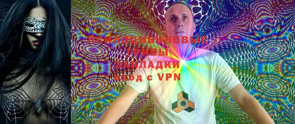 шишки Карталы
