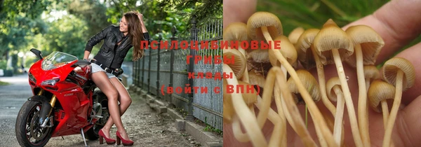шишки Карталы