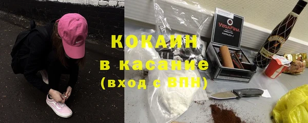 шишки Карталы