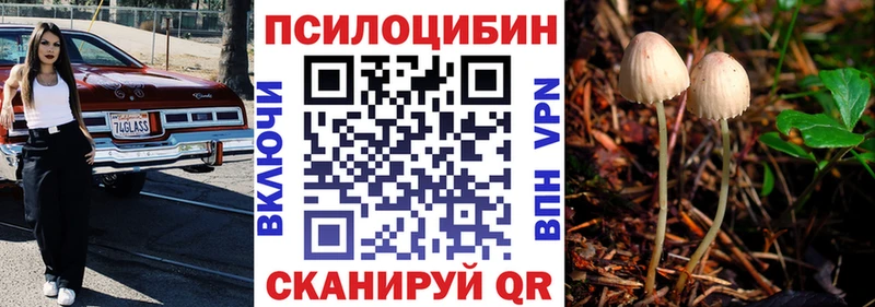 Купить закладки  Сосенский  Псилоцибиновые грибы Cubensis 
